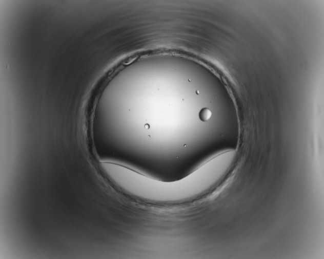 X0000088171118200705291926