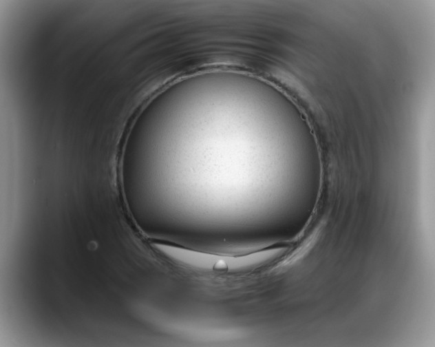 X0000088171121200705291926