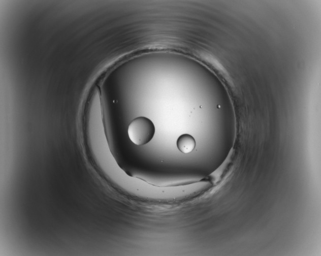 X0000088171122200705291926