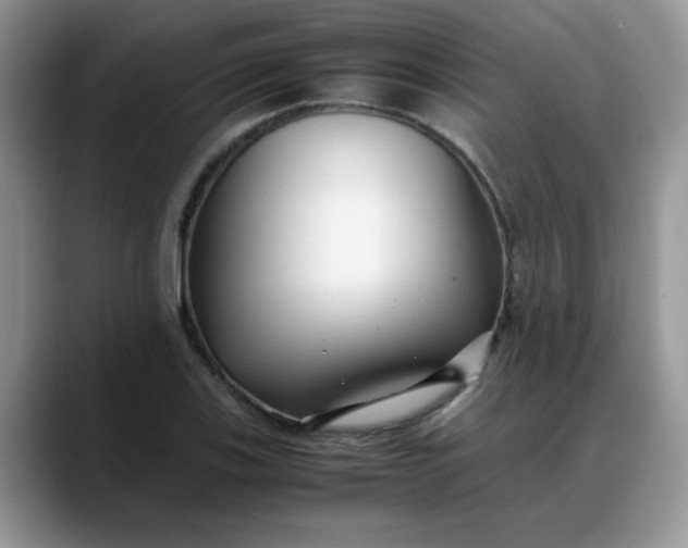 X0000088171123200705291926