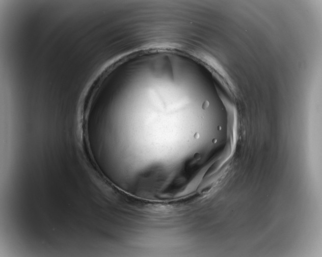 X0000088171124200705291926