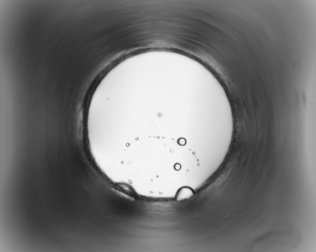 X0000088171126200705291926