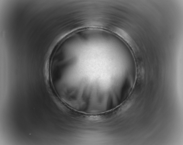 X0000088171128200705291926