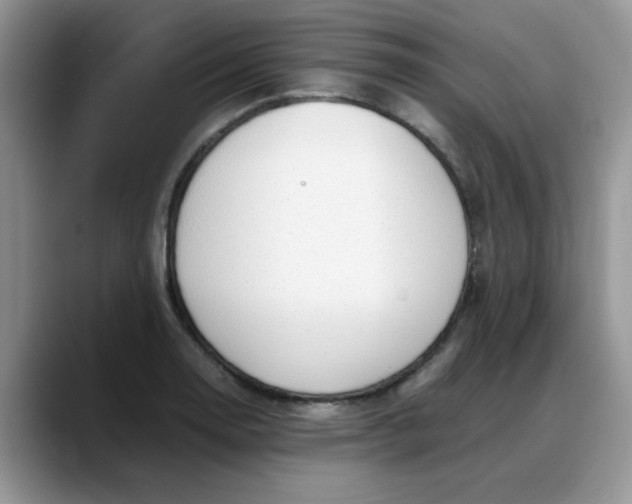 X0000088171130200705291926