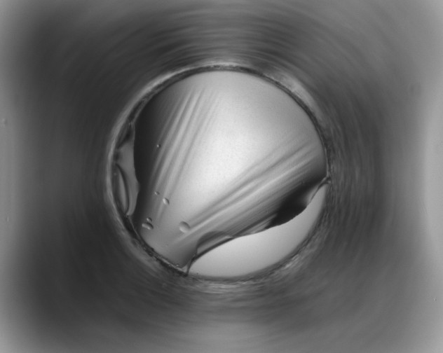 X0000088171132200705291926