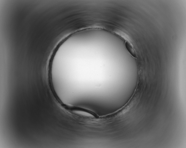 X0000088171135200705291926