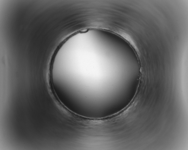 X0000088171136200705291926