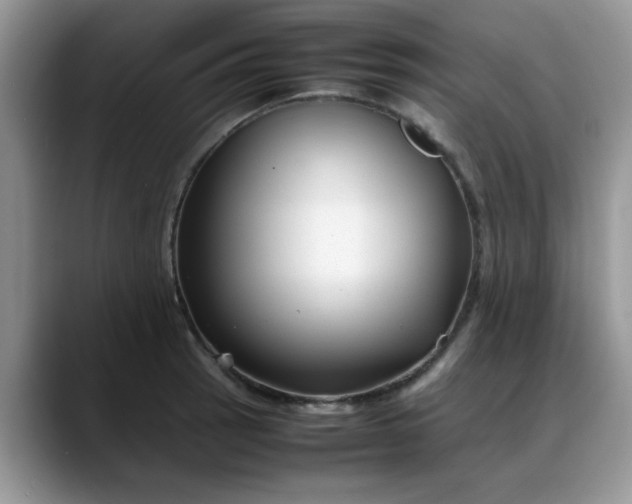 X0000088171137200705291926