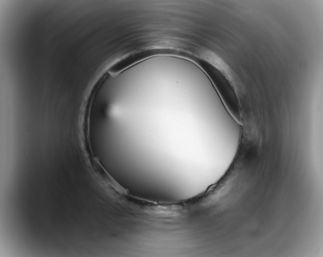 X0000088171138200705291926