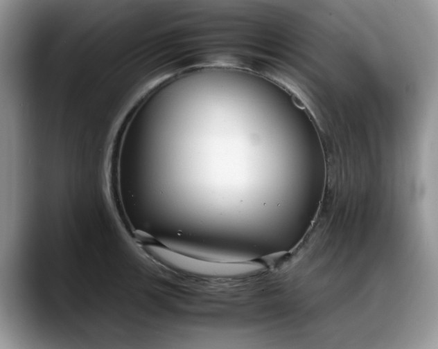 X0000088171139200705291926