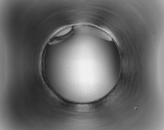 X0000088171142200705291926