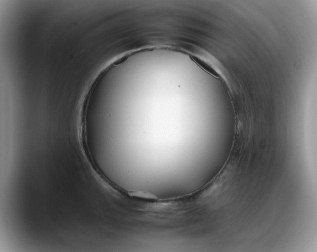 X0000088171143200705291926