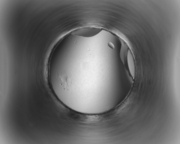 X0000088171144200705291926