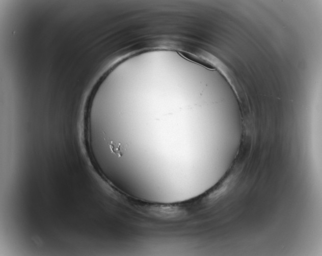 X0000088171147200705291926