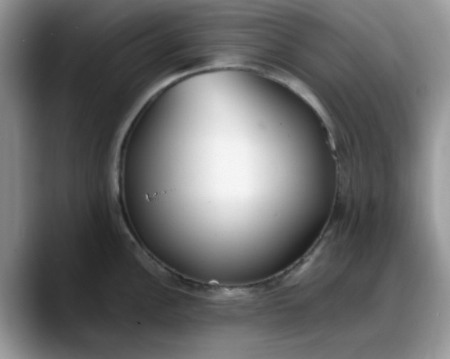 X0000088171148200705291926