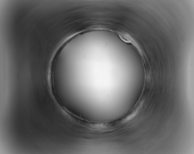 X0000088171149200705291926