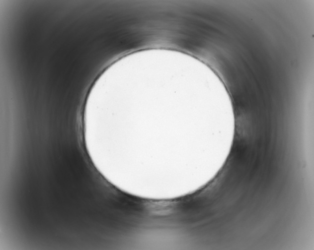 X0000088171150200705291926