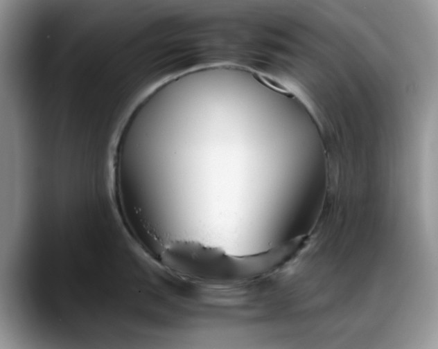 X0000088171151200705291926