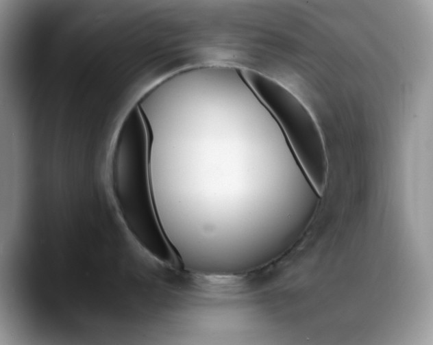 X0000088171152200705291926