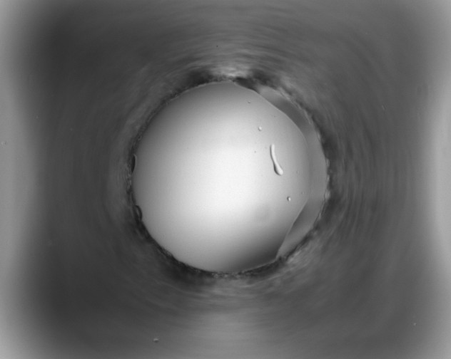 X0000088171153200705291926