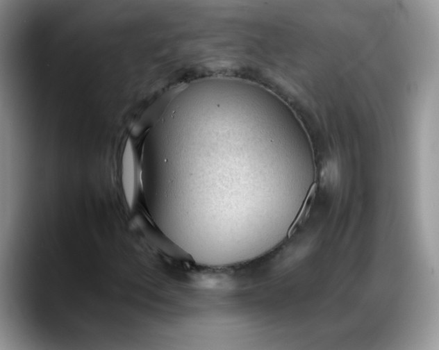 X0000088171156200705291926