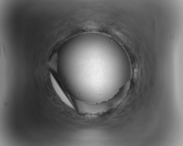 X0000088171157200705291926