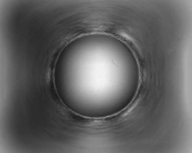 X0000088171161200705291926