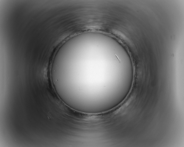 X0000088171162200705291926