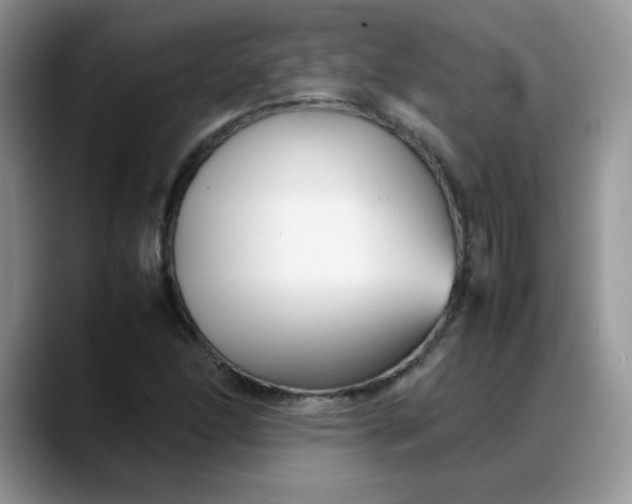 X0000088171166200705291926