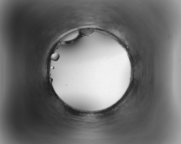 X0000088171167200705291926