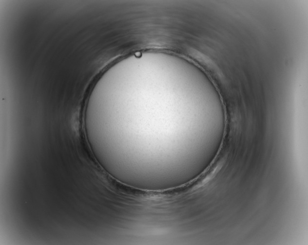 X0000088171170200705291926