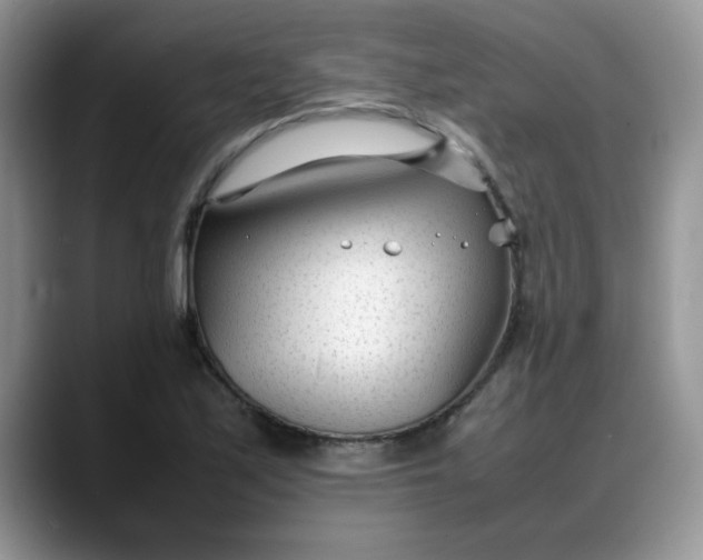 X0000088171171200705291926