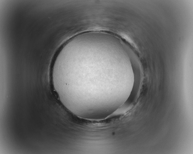 X0000088171173200705291926