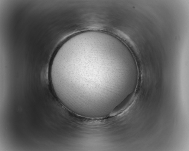 X0000088171174200705291926