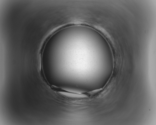 X0000088171175200705291926