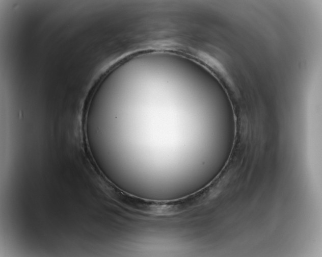 X0000088171176200705291926