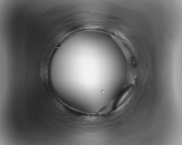 X0000088171177200705291926