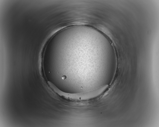 X0000088171179200705291926