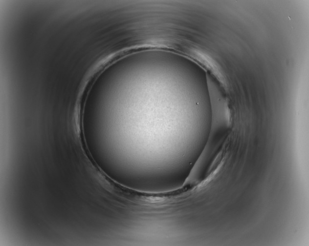 X0000088171180200705291926