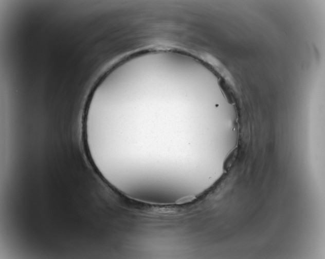 X0000088171183200705291925