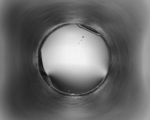 X0000088171184200705291925