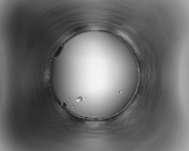 X0000088171185200705291925