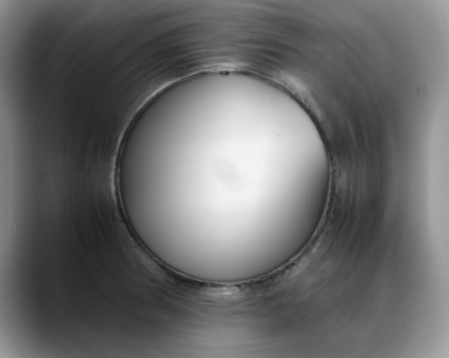 X0000088171186200705291925