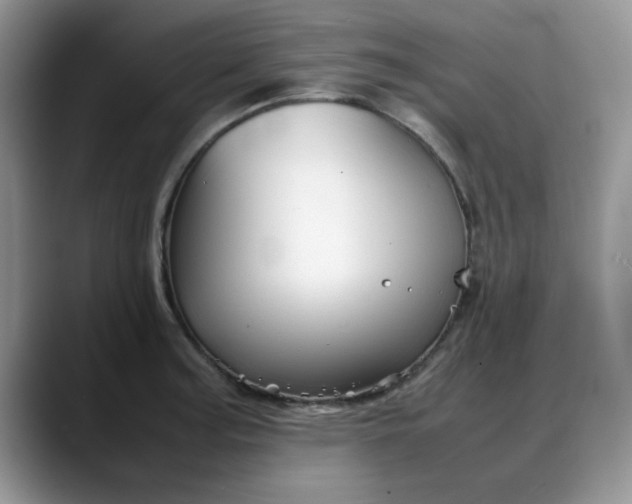 X0000088171187200705291925