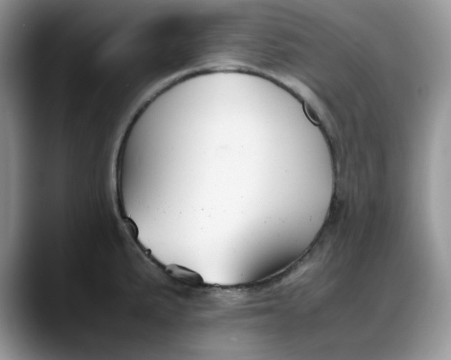 X0000088171191200705291925