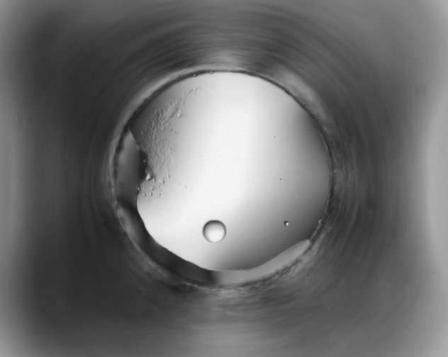 X0000088171192200705291925