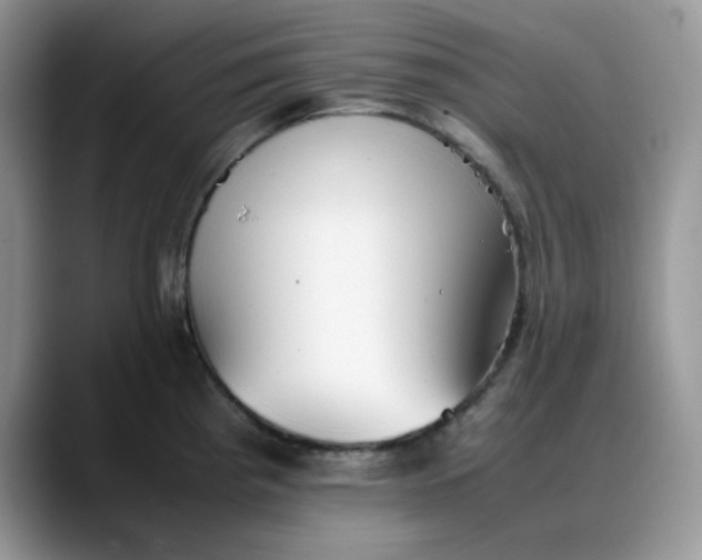 X0000088171193200705291925