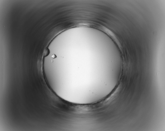 X0000088171194200705291925