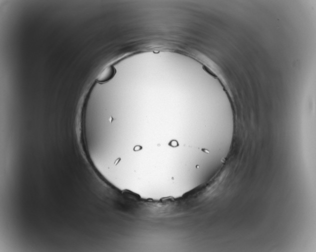 X0000088171195200705291925