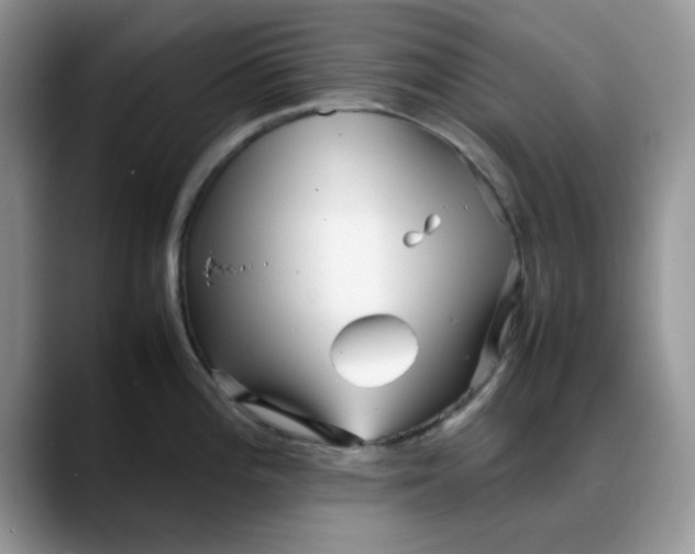 X0000088171196200705291925